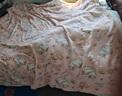 無(wú)印良品lolita可愛(ài)少女毛毯毛巾被加厚冬季沙發(fā)毯空調被辦公室午睡披肩毯 公主城堡【軟糯親膚 舒適透氣】 150*200cm【超軟擼貓手感蓋毯】 曬單實(shí)拍圖