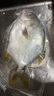 翔泰海南深海金鯧魚700g 2條 燒烤 火鍋 生鮮魚類 BAP認(rèn)證 海鮮水產(chǎn) 曬單實(shí)拍圖