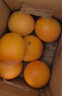 京鮮生 南非進(jìn)口紅心西柚/葡萄柚6粒裝超大果 單果300g起 新鮮水果  曬單實(shí)拍圖