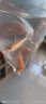 金苔鼠觀賞魚清道夫小型熱帶斑馬魚除藻工具淡水清潔糞便孔雀魚 【清潔神器】4-6cm 金苔鼠2條 曬單實拍圖