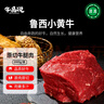 牛品說國產(chǎn)魯西黃牛 牛腿肉 凈重4斤 原切生鮮牛肉 火鍋食材 源頭直發(fā) 曬單實(shí)拍圖
