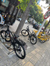 鳳凰上海鳳凰山地車(chē)自行車(chē)男士女式學(xué)生成人變速寬胎越野公路賽單車(chē) 【鋼架/全套競速軸承】三刀消黑 26寸24速【建議身高158-188cm】 曬單實(shí)拍圖