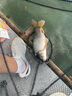 民間藝人魚竿纏把帶加厚加長蒂芙尼藍(lán)2米防滑防水釣竿綁帶吸汗手把纏繞帶 曬單實拍圖