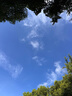 歐士戈 工業(yè)風扇24寸多檔大功率落地扇趴地扇電風扇強力換氣扇大風力崗位軸流風機車間商用風扇工廠鼓風機 曬單實拍圖