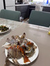 大梭子蟹鮮活冷凍螃蟹海蟹飛蟹白蟹花蟹生鮮海鮮水產(chǎn)蟹類(lèi) 活凍大公蟹4只（6-9兩/只） 曬單實(shí)拍圖