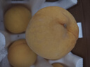 京覓黃桃水果蒙陰桃子新鮮黃金蜜桃 凈重4.5斤 單果120g起 源頭直發(fā) 曬單實(shí)拍圖
