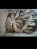 東上御品蝦 青島大蝦基圍蝦鮮活青蝦白蝦海蝦對蝦冰蝦凍蝦生鮮 蝦類(lèi) 海鮮 3.6斤(凈重)  鹽凍大蝦【單只凍】 17-21cm【特大蝦皇】 曬單實(shí)拍圖
