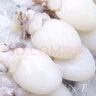 三去冰鮮三去墨魚(yú)仔200g 曬單實(shí)拍圖