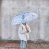 JCZS德國品牌兒童雨傘女孩三麗鷗學(xué)生上學(xué)專用庫洛米女生高顏值自動透 蝴蝶結(jié)KT貓(三麗鷗兒童透明傘) 曬單實拍圖