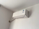 大金空調(diào)(DAIKIN)官方旗艦新二級(jí)能效 E-MAX 7系列變頻冷暖 自清潔掛機(jī)空調(diào) 以舊換新 國(guó)家補(bǔ)貼 大1.5匹 二級(jí)能效 ATXS236WC-W白 曬單實(shí)拍圖