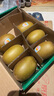 佳沛（zespri）新西蘭陽光金果6個(gè)裝巨大果單果144-175g水果獼猴桃源頭直發(fā) 曬單實(shí)拍圖