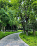 育才兒童桌椅花生桌可升降涂鴉幼兒園學(xué)習畫(huà)畫(huà)桌寶寶積木玩具游戲桌椅 小黃蜂長(cháng)方桌120X60CM 配一椅 曬單實(shí)拍圖
