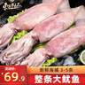 東上御品 山東 大魷魚凈重2.9-3斤 約3-5條魷魚 燒烤海鮮食材-源頭直發(fā) 曬單實拍圖