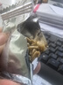 憨豆熊巴旦木瓜子仁酥500g 堅(jiān)果炒貨傳統(tǒng)零食學(xué)生老人辦公室糕點(diǎn)點(diǎn)心 曬單實(shí)拍圖