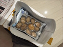 液氮活凍鮑魚(yú)新鮮海捕海鮮水產(chǎn)鮑魚(yú)鮮活大鮑魚(yú)佛跳墻海捕貝類(lèi) 液氮活凍 極致臻品12-14頭 曬單實(shí)拍圖
