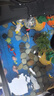 闊庭（KUOTING）魚缸水族箱生態(tài)桌面魚缸新款懶人魚缸生態(tài)造景過濾制氧一體機黑色 曬單實拍圖