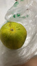 佳沛（zespri）綠奇異果經典果6粒 單果約86-103g   水果獼猴桃  源頭直發(fā) 曬單實拍圖