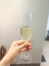 CANIS FAMILIARIS布多格 法國原瓶進(jìn)口紅酒 騎士半干白葡萄酒 750ml單支裝中秋送禮 曬單實(shí)拍圖