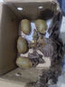 三萌果蔬米良一號(hào)綠心獼猴桃 奇異果新鮮水果湘西南陽(yáng)中秋送禮品盒 5斤超甄選裝【單果約90g+】?jī)?.5斤 曬單實(shí)拍圖