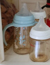 貝親（Pigeon）PPSU雙把手防脹氣奶瓶240ml 叢林小兔 M號奶嘴 3月+ AA218 曬單實拍圖