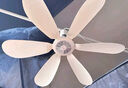 鉆石牌加大扇面電風扇廚房臥室小吊扇小型電風扇蚊帳小吊扇家用學生宿舍風扇床上輕音電風扇吊式小風扇 曬單實拍圖