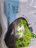 云山半韓式辣白菜泡菜100g*5袋 韓國風(fēng)味香辣白菜即食下飯菜咸菜醬菜 曬單實(shí)拍圖