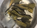 海藻媽媽干海帶頭 凈重250g/袋 干貨涼拌燙涮火鍋燉煮 源頭直發(fā) 曬單實(shí)拍圖