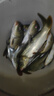 川澤釣魚果酸小藥高濃度藥酒餌料魚餌誘魚添加劑鯽鯉青草野釣黑坑湖庫 綠果酸（高濃度60ML）1瓶 曬單實(shí)拍圖