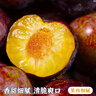 庾豐當季新鮮現摘脆紅李 新鮮水果整箱 孕婦脫骨青紅李子 團購送禮 5斤裝（凈果4.5斤）甄選果 顆顆甄選 產(chǎn)地直發(fā) 曬單實(shí)拍圖