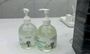 lefeke免洗洗手液500ml*2瓶消毒凝膠 手部消毒液 不含酒精 可帶飛機高鐵 曬單實拍圖