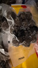 海霸王潮汕牛肉丸+牛筋丸組合200g*10袋4斤 肉含量90% 火鍋丸子燒烤食材 曬單實(shí)拍圖