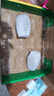 佳沛（zespri）綠果 優(yōu)選果12粒單果113-135g  中秋水果禮盒 獼猴桃 曬單實(shí)拍圖