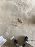 閃魔適用蘋(píng)果15pro鋼化膜 iPhone15pro手機膜全屏貼合無(wú)氣泡高清防爆抗指紋保護膜升級秒貼無(wú)塵倉2片裝 曬單實(shí)拍圖