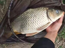 穿透王口水劑K10穿透王鯉鯽青草鳊魚餌料釣魚小藥高端誘魚劑 穿透王口水劑K10（250ml）整瓶原裝 曬單實(shí)拍圖
