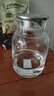 炊大皇 1.8L大容量夏日解暑冷水壺 耐熱防爆玻璃杯 水果茶壺白開(kāi)水杯 曬單實(shí)拍圖
