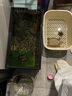 YEE小魚缸過(guò)濾器循環(huán)水泵外置瀑布凈水壁掛滴流盒過(guò)濾制氧一體機(jī)6w 曬單實(shí)拍圖