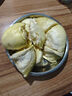 梓頤泰國(guó)金枕榴蓮新鮮果整箱長(zhǎng)柄榴蓮金枕頭進(jìn)口A果整個(gè)帶殼熱帶水果 品質(zhì)級(jí) 果型更好丨50年老樹(shù)果 老樹(shù)報(bào)恩凈重3-4斤1個(gè)裝 曬單實(shí)拍圖