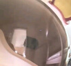 真A類新國(guó)標(biāo)3C認(rèn)證兒童頭盔夏季電動(dòng)車男女孩可愛(ài)輕盈防摔可調(diào)節(jié) 茶短【米白】棕黃熊耳+風(fēng)車 1-3歲 曬單實(shí)拍圖