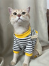 貓吖貓咪衣服秋冬保暖新款四腳背帶褲全包寵物狗狗衣服德文布偶防掉毛 黃色小熊背帶褲 M背長(cháng)30cm(貓7-10斤/狗6-10斤) 曬單實(shí)拍圖