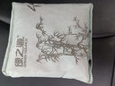 綠之源汽車(chē)活性炭包新車(chē)除甲醛除異味竹炭包 室內專(zhuān)用除臭車(chē)載凈化2kg 曬單實(shí)拍圖