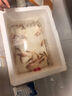 觀賞魚(yú)紅草金魚(yú)冷水魚(yú)金魚(yú)小魚(yú)活魚(yú)小寵物好養(yǎng)耐活闖缸練手飼料魚(yú) 草金魚(yú)二十條+2條備損 3-5cm 曬單實(shí)拍圖