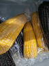 京鮮生 東北黃糯玉米250g*10棒 新鮮甜糯玉米棒真空包裝粘玉米 源頭直發(fā) 曬單實(shí)拍圖