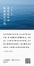 MissWiss鯊魚(yú)褲女薄款顯瘦收腹提臀瑜伽褲外穿打底褲 北歐灰-四季款 M 曬單實(shí)拍圖