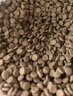 愛肯拿（ACANA）貓糧 牧場盛宴成貓幼貓糧 高蛋白無谷進(jìn)口雞肉糧5.4kg 效期26/5 曬單實(shí)拍圖