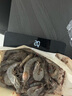 海之幫新鮮青島大蝦超大蝦凍蝦白蝦鮮活冷凍對蝦大號青蝦海鮮批發(fā) 16-18厘米活蝦速凍 3斤(凈重) 曬單實(shí)拍圖