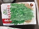 播種心情 家庭種植蔬菜種子孑籽大全四季播種陽(yáng)臺(tái)盆栽農(nóng)家庭院小菜園有機(jī) 四季香菜種子2包 曬單實(shí)拍圖