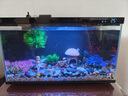 小米智能魚缸造景套餐仿真沉木造景石魚缸裝飾擺件水族箱造景 蘑菇造景套餐 曬單實(shí)拍圖