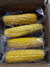 佳農 內蒙黃糯玉米棒8袋*220g 軟糯香甜 真空鎖鮮 源頭直發(fā) 禮盒包郵 曬單實(shí)拍圖