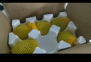 京鮮生 蘇翠一號(hào) 應(yīng)季鮮梨 凈重3斤 單果200g+ 新鮮水果 源頭直發(fā)包郵 曬單實(shí)拍圖
