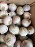 云南紫皮獨頭蒜 大蒜蒜頭 新鮮蔬菜 新鮮紫皮蒜 精選2斤【特大果3.5-4.0cm】 曬單實(shí)拍圖